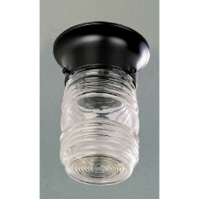 Volume Lighting 1-Light Black Flush Mount Ceiling Fixture, Black - V7316-5