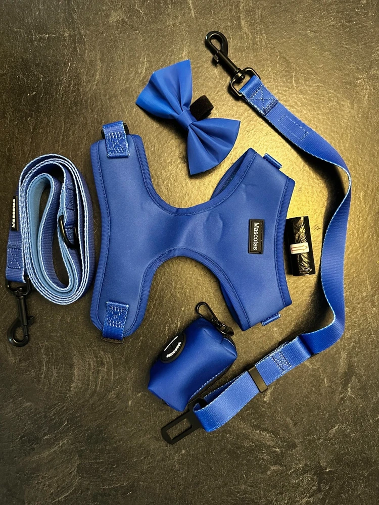 dog harness, leash ,poop bag holder, seatbelt attachment, bow blue king