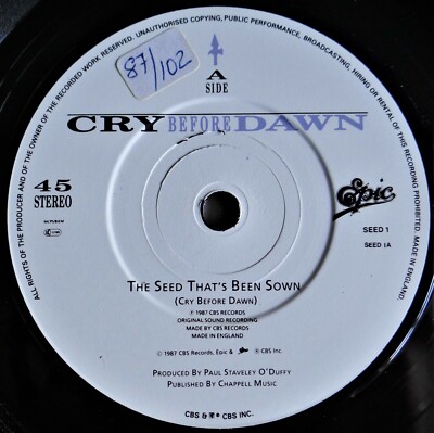 EX Cry Before Dawn    The Seed That's Been Sown 7'' Vinyl Single 1987 SEED1 UK