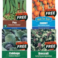Vegetable Seeds Herb Fruit Garden Indoor Outdoor - Tomato,Onion,Cress etc Q17