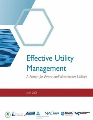 Effective Utility Management: A Primer For Water And Wastewater Utilities