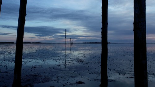 STILL POINT: SUKI CHAN PB, Paperback Publication Middle East Artist Book - 第 4/4 張圖片