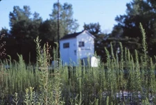 Original Kodak Kodachrome Railroad Slide Springhill Tower Terre Haute Indiana