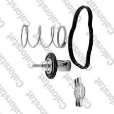 Thermostat Infiniti Q30