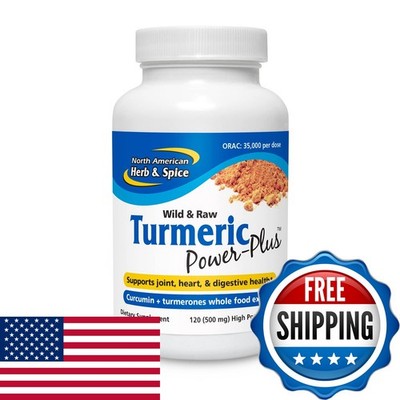 North American Herb & Spice Turmeric Power-Plus 120 Count 60 Servings Joint