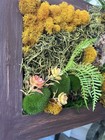 Framed Square Wood Moss Art Wall Decor w/ Succulents Fern Faux Greenery — photo 3
