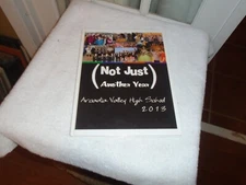 2013 Arcadia Valley High School Yearbook, Ironton MO, "Tiger" grades 5-12