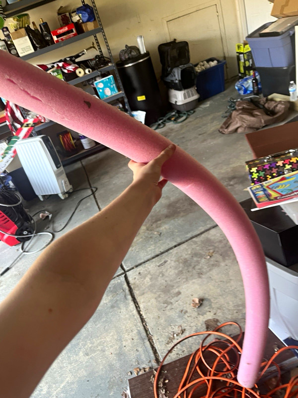 Pink Foam Noodle Halloween Costume Prop Accessory, Adult Unisex, One Size