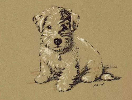 Sealyham Terrier "Albert" - CUSTOM MATTED - Lucy Dawson Dog Art Print - NEW - Picture 1 of 1