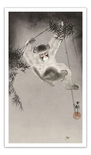 OHARA KOSON Monkey, Hanging From Bamboo Branch ART (1900-1930) Print/ Poster