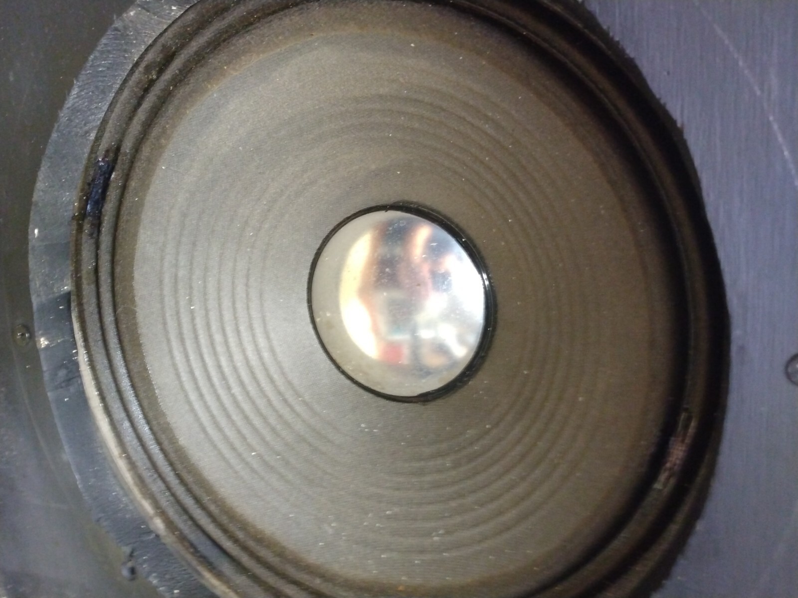 Picture 20 of 20