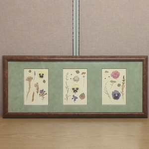 Custom Framed Pressed Dried Pansy Flowers Botanical Wall Art Decor