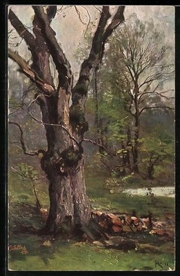 Künstler-AK Wohlgemuth & Lissner, Primus-Postkarte No. 824: Der deutsche Wald,  