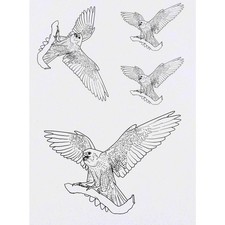 4 x 'Peregrine Falcon' Temporary Tattoos / Transfers TO00043999 