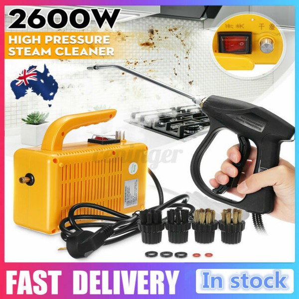 2600w High Pressure Steam Cleaner Gun Mechine Sterilization Disinfector