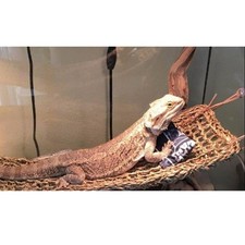 Bearded Dragon Seagrass Hammock Reptile Lounger Snake Lizard Basking Platform