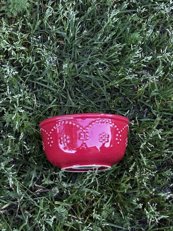 Food Network Fontinella Red Stoneware Small 4.5" Bowl