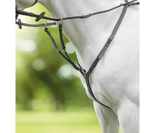 Veliciti Breastplate - Picture 1 of 2