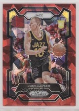 2023-24 Panini Prizm Red Ice Prizm Joey Hauser #293 0yk4