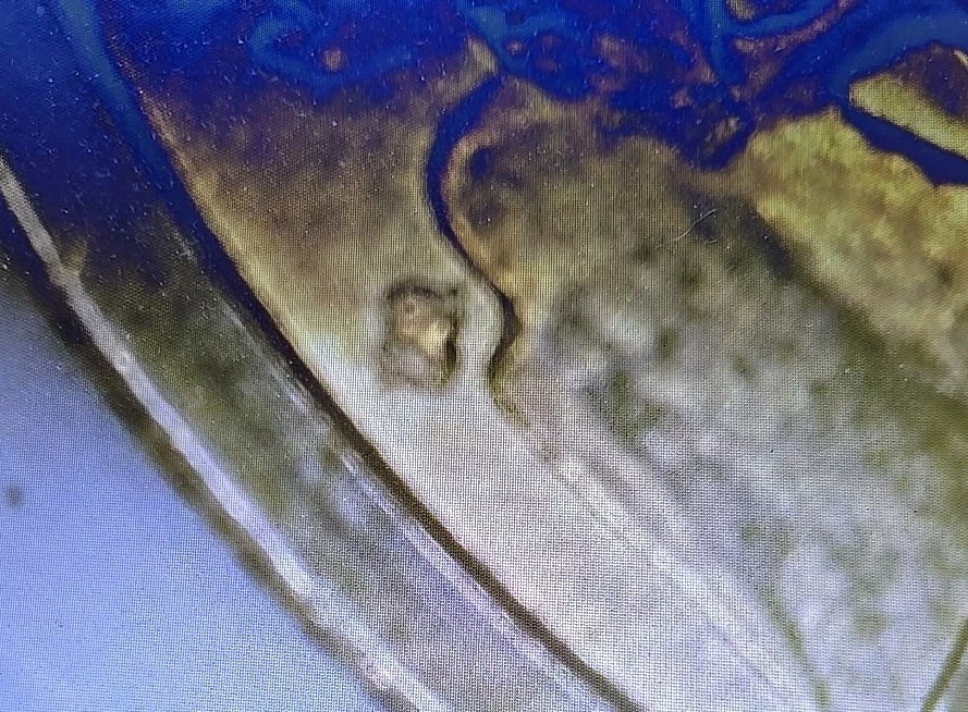  1943 S Walking Liberty Half Dollar - US 90% Silver Coin MS - Image 3 of 3