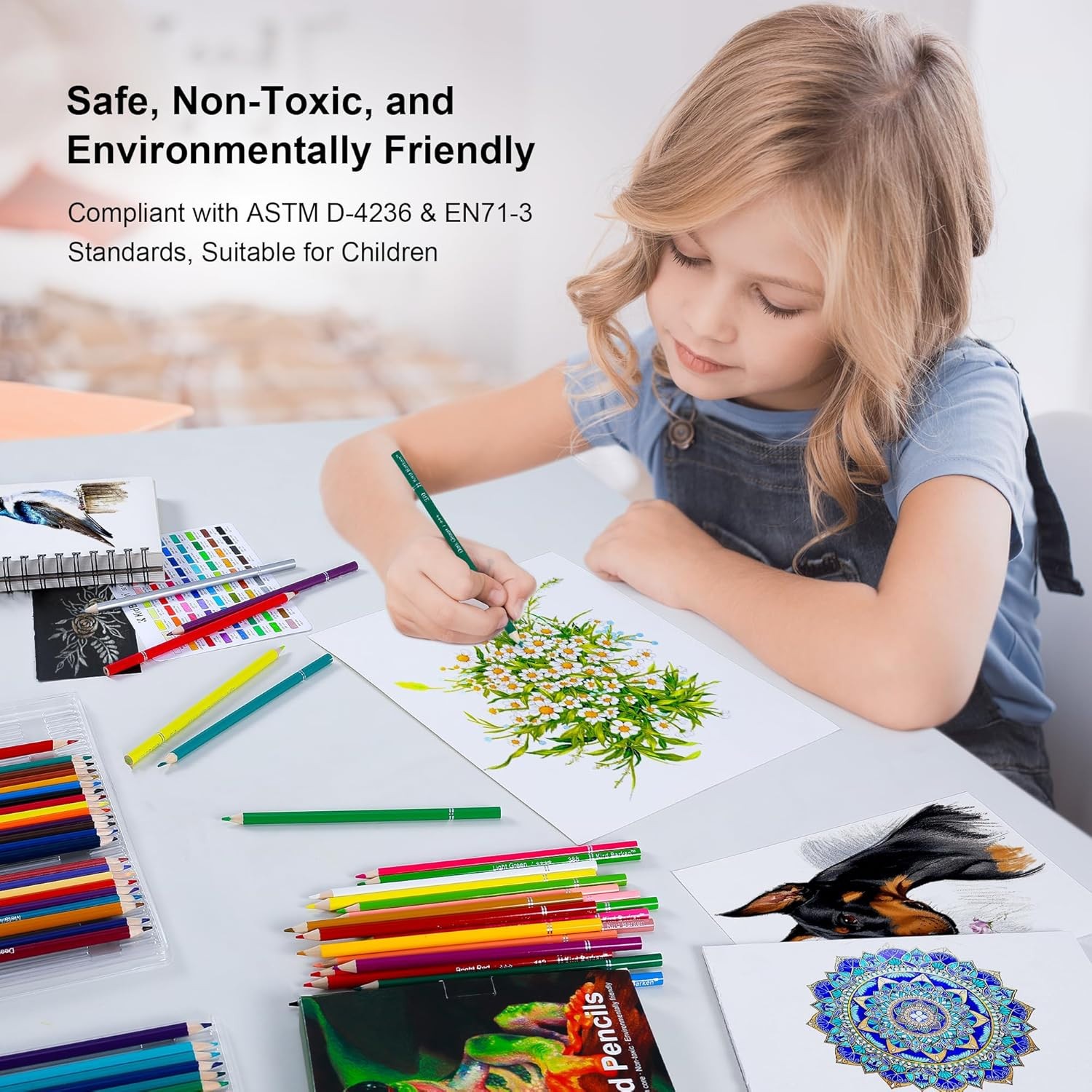 80 Colored Pencils, Soft Core Color Pencil Set for Adult Coloring Books Artist..