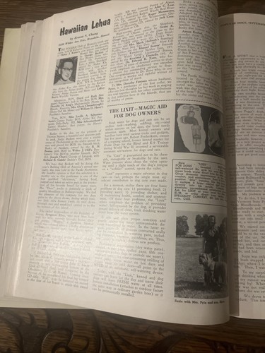 Popular Dogs Magazine September 1961 Special Breeding Issue Vintage - Imagen 17 de 21