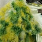 Picture 3 of 6