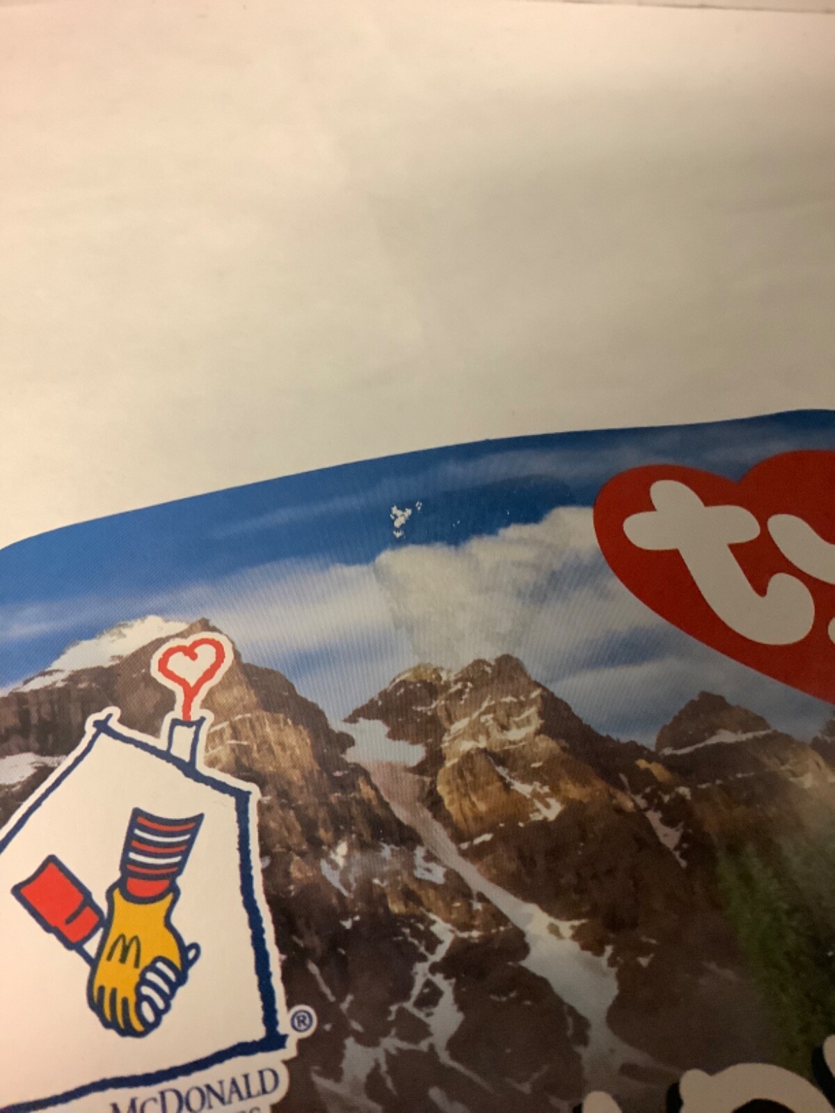 Foto 12 di 12