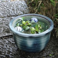 Size 10 Minamo Water Lily Bowl, Shigaraki Ware (Goldfish/Medaka) [su-0106]