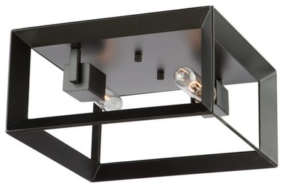 Artcraft Lighting, Vineyard Flush Mount 2 light Fixture, AC10063, New open box