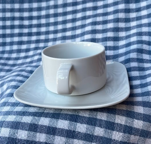 LUFTHANSA ~ ROSENTHAL GERMANY ~ INFLIGHT CUP & SAUCER SET  ~ 1 or ALL ~ 1+ SHIP