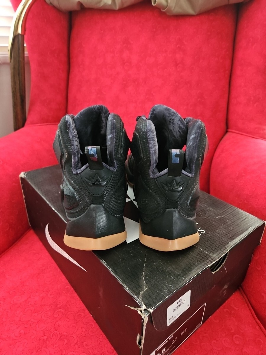 Size 9.5 - Nike LeBron 13 Black Lion for sale online | eBay