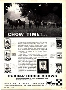 Purina Horse Chows 1970 Vintage Print Ad Ephemera Wall Decor