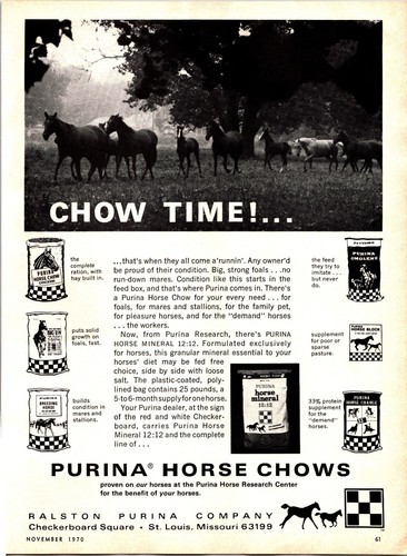 Purina Horse Chows 1970 Vintage Print Ad Ephemera Wall Decor