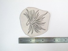 vtg 1960s 1970s Tattoo Flash acetate stencil Loony bird BR1