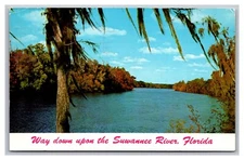 Suwannee River FL Way Down Upon the Suwannee River Chrome Postcard Posted 1963