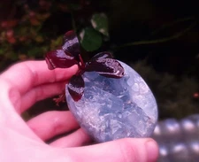 Bucephalandra Blue Moon 1 Rhizome 5cm 5/6 Leaves