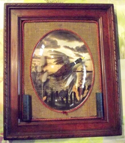 Ancien Tableau Verre Bombé Cadre Chasse plumes canard Cabinet de Curiosité  - Photo 1 sur 8