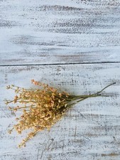 Peach Wildflower Pick, 13  Set Of 3 For Country Farmhouse Floral Arrangements