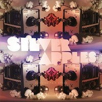 Silver Apples - Clinging To A Dream - Cd - G3Z