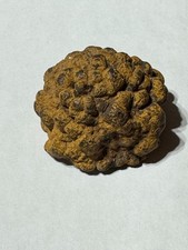 Botryoidal Hematite 8.5 oz. / 239 grams