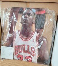 لوحة Michael Jordan
