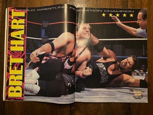 WWF Program Volume 223 Bret "Hitman" Hart, Razor Ramon Scott Hall 1994 - Picture 11 of 14