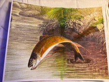 Trout Brown Trout Fly Fishing Watercolor Print Art Original Signed by Artist