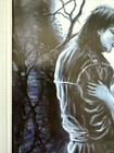 Bild 3 von 12