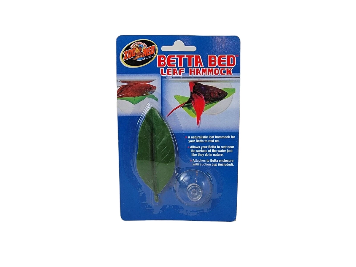 Betta fish sleeping clearance leaf