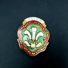 Rare Welch Regiment Comrades Association Enamel Badge WWI WW2 Veterans Pin H2.7c