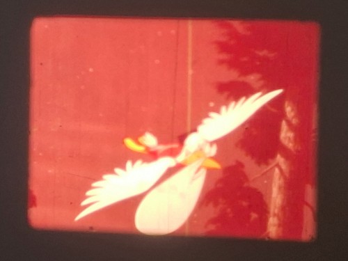 LAMBERT THE SHEEPISH LION 1951 DISNEY 16MM COLOUR SOUND 300FT CINE FILM - Picture 4 of 22
