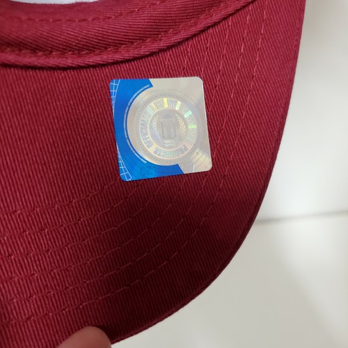 Florida State Seminoles Hat Cap Adjustable Strap Back -Top of the World - OSFM - Picture 5 of 8