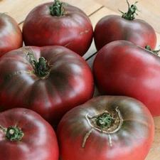 Cherokee Purple Tomato Seeds | Heirloom / Non-GMO | Free Shipping | 1022